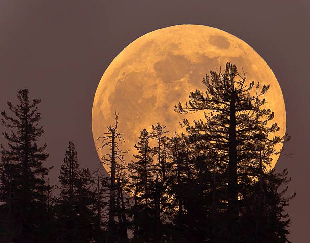 Supermoon rising in Yosemite